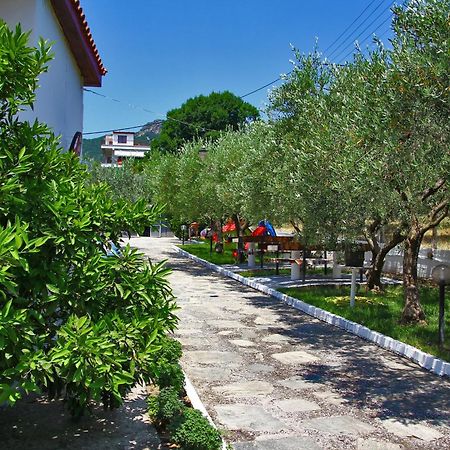 Dimos Bungalows Palaiontsiflikion Exterior photo