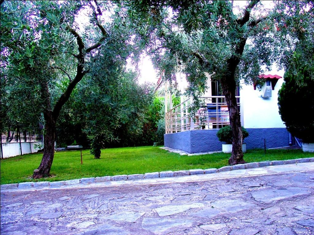 Dimos Bungalows Palaiontsiflikion Room photo